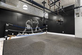 Allure Hermann Park | 6,000 ft² Fitness Center with a Professional Boxing Gym